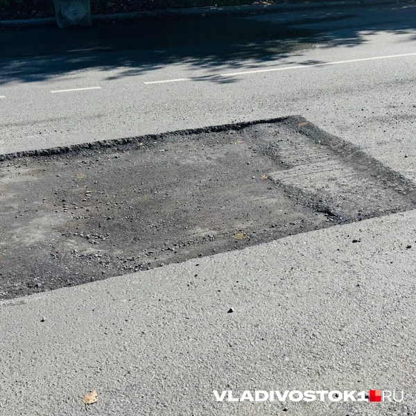 Источник: Елена Буйвол / VLADIVOSTOK1.RU