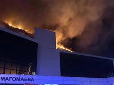 «Упала и сделала вид, что умерла»: девушка в «Крокусе» спаслась от террористов благодаря хитрости