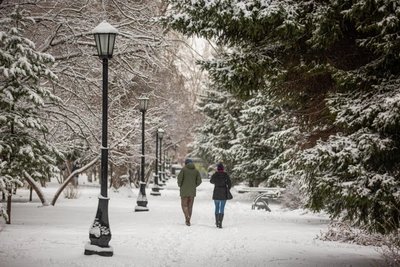 Метель и снег в Новосибирске: прогноз на три дня