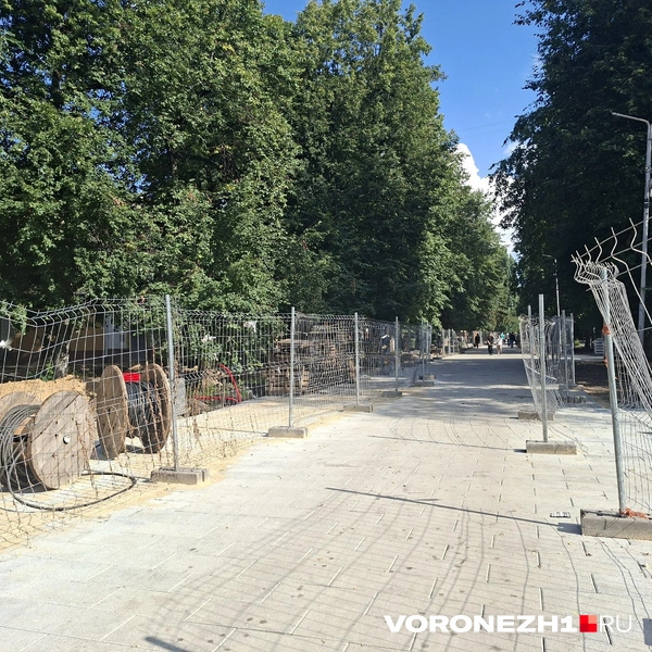 Источник: Алёна Воропаева / Voronezh1.ru