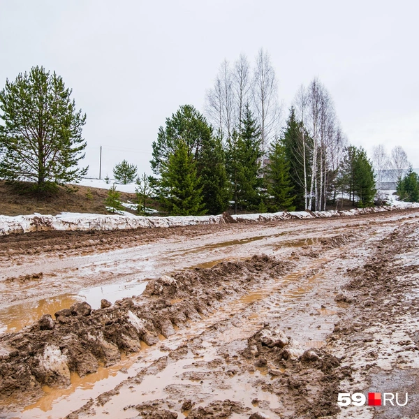 Путь к Зенкам от основной дороги | Источник: Тимофей Калмаков / 59.RU