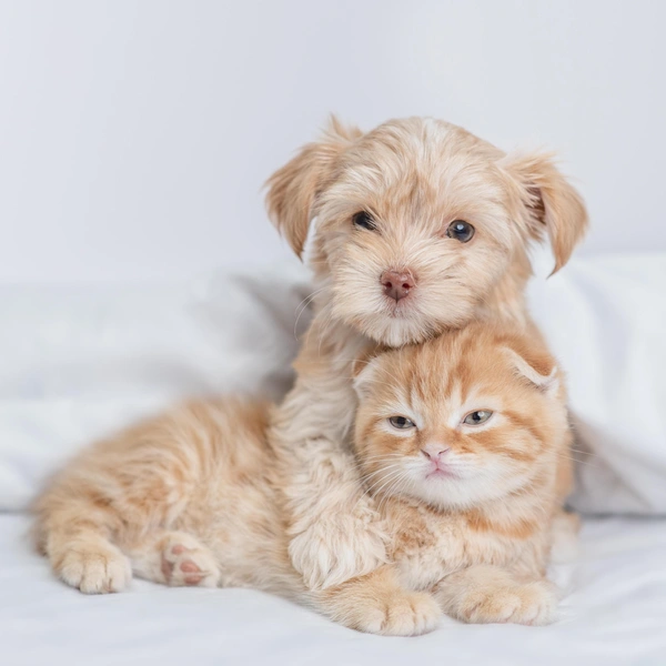 Источник: Shutterstock/Fotodom.ru