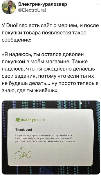 Лучшие мемы про маниакальную сову Duolingo