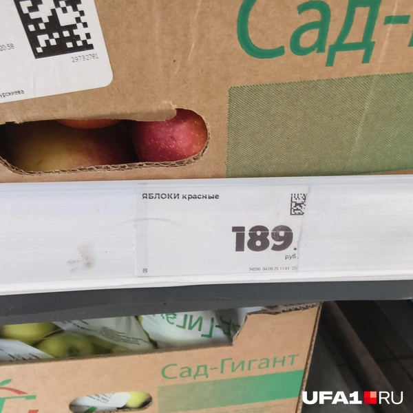 Источник: Булат Салихов / UFA1.RU