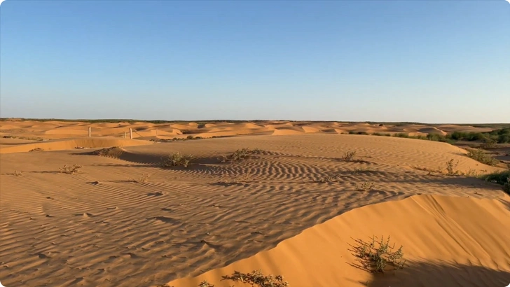 Поселок Барханы | Источник: КУЛЬТ.ТУРа / YouTube