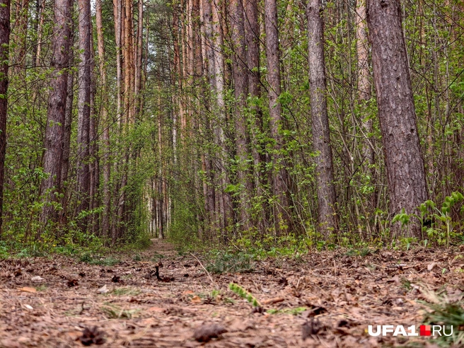 А это уже необустроенная | Источник: Булат Салихов / UFA1.RU