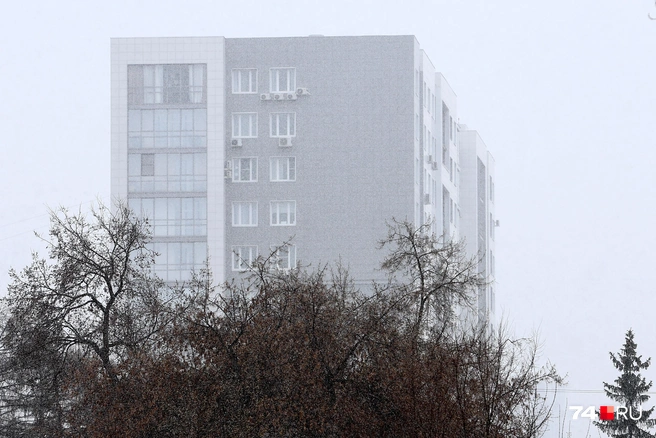 Снег сегодня начался примерно в половине одиннадцатого | Источник: Наталья Лапцевич