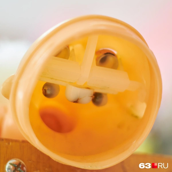 — Вот подкрашиваю носики им изнутри | Источник: Роман Данилкин / 63.RU