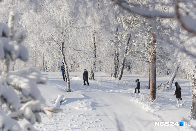 В школу не пошли | Источник: Мария Ленц / NGS24.RU