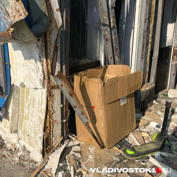 Источник: Елена Буйвол / VLADIVOSTOK1.RU