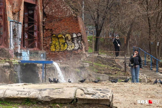 Сюда часто приходят горожане | Источник: Евгений Вдовин / 161.RU