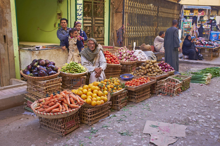 Намеренно не достроенные дома и картонные хибары: непарадный Каир глазами туристки из Тюмени