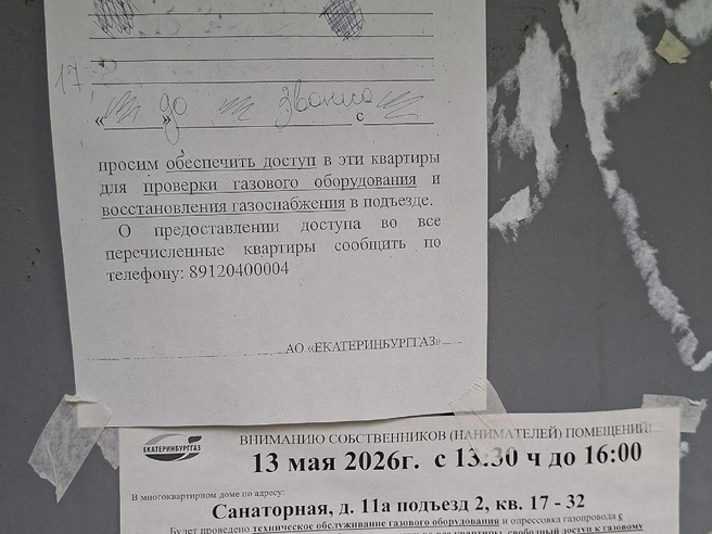 На двери подъезда повесили несколько объявлений | Источник: читательница E1.RU
