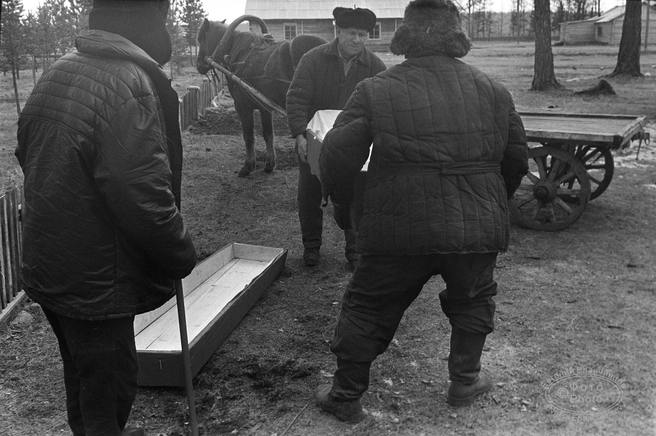 Источник: Евгений Епанчинцев