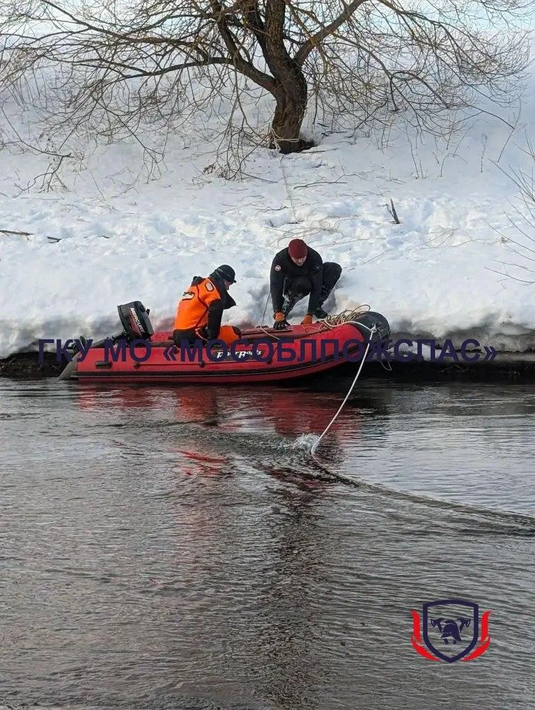 Спасатели вышли на воду в поисках троих детей в Звенигороде | Источник: ГКУ МО «Мособлпожспас» / T.me