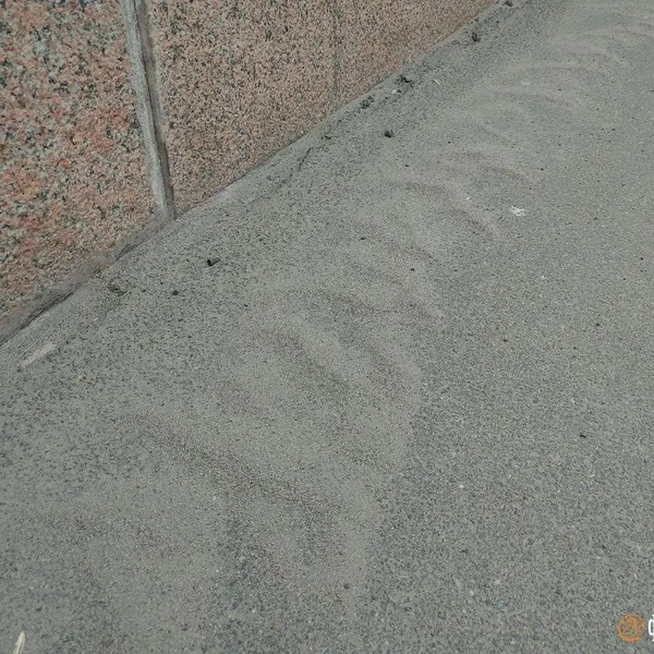 Источник: Михаил Огнев / «Фонтанка.ру»