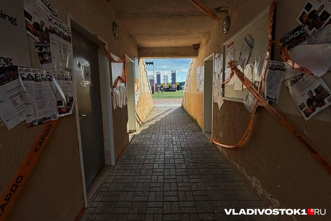 Источник: Елена Буйвол / VLADIVOSTOK1.RU