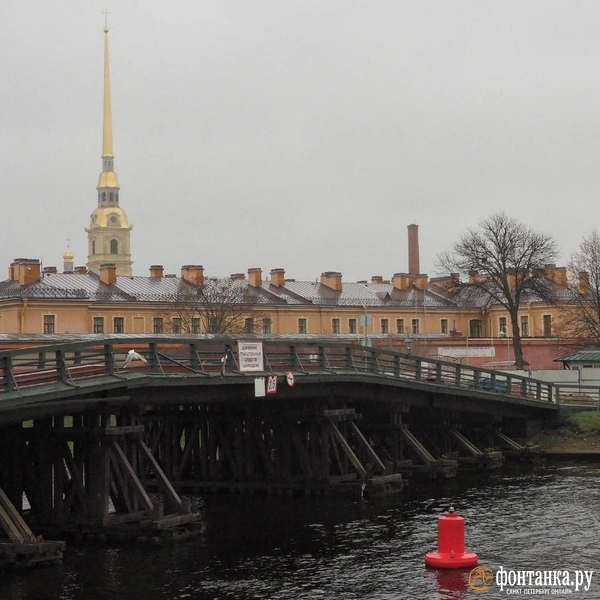 Источник: Михаил Огнев / «Фонтанка.ру»