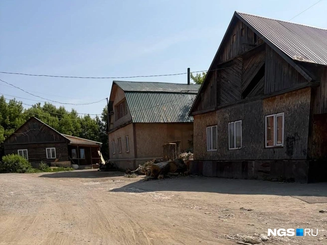 Цыгане не видят смысла в заборах — все вокруг свои | Источник: Настасья Медведева / NGS.RU