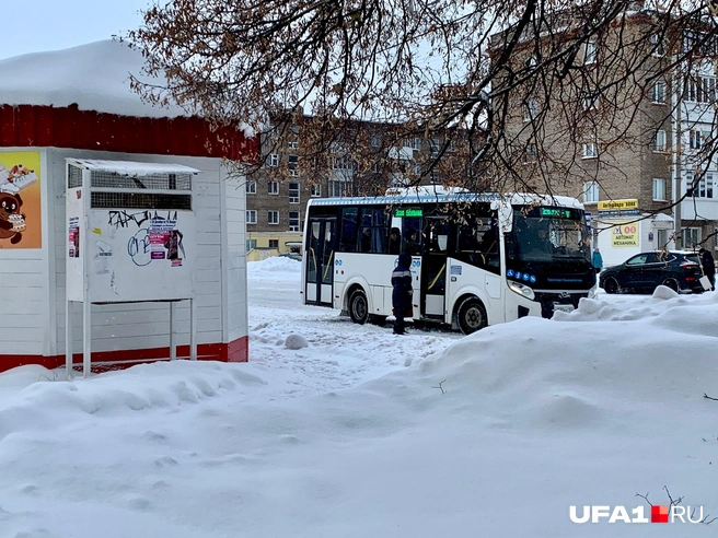 Как это «автобусов не видели»? А это что? | Источник: Андрей Бирюков / UFA1.RU
