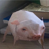 userpic__Му-му