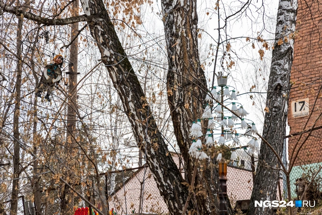 Воспитание устойчивой психики у детей | Источник: Мария Ленц / NGS24.RU