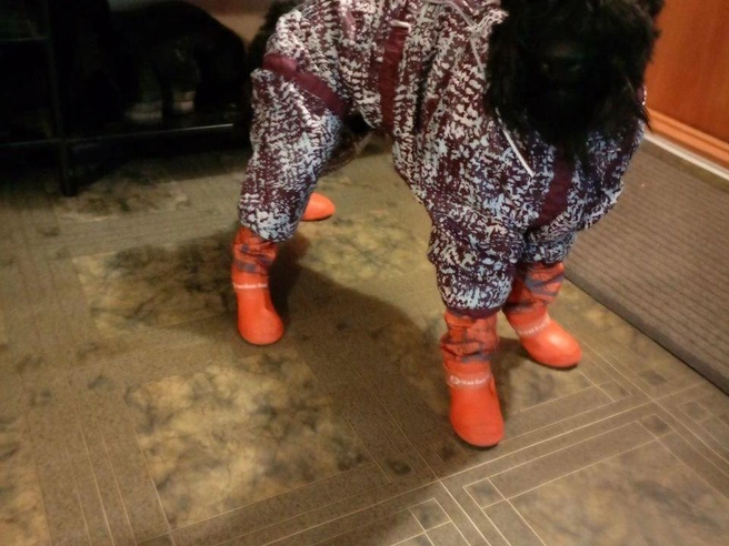 Источник: читательница E1.RU Ирина