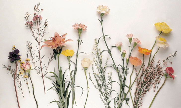 Как сделать красивую композицию из цветов: 10 простых и необычных лайфхаков 💐