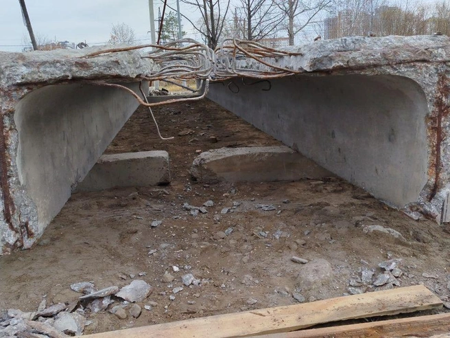 Источник: Максим Афанасьев / t.me