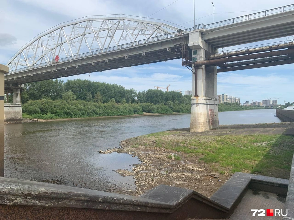 Земля проступает над поверхностью | Источник: Никита Кифорук / 72.RU