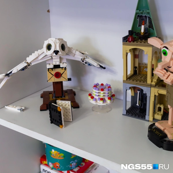 Мальчик обожает собирать LEGO | Источник: Кирилл Башинский / NGS55.RU