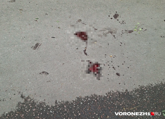Источник: Алёна Воропаева / Voronezh1.ru