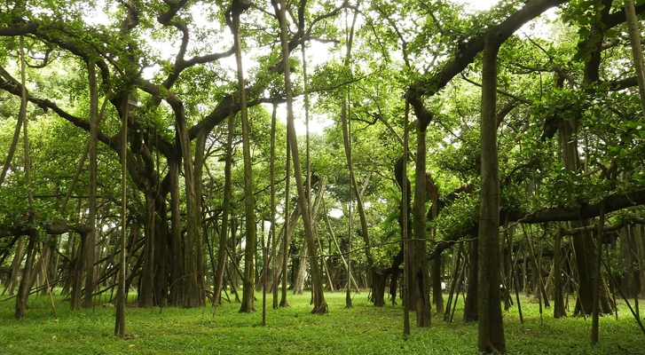 Центр исполнительских искусств Wei-Wu-Ying (фото 6)