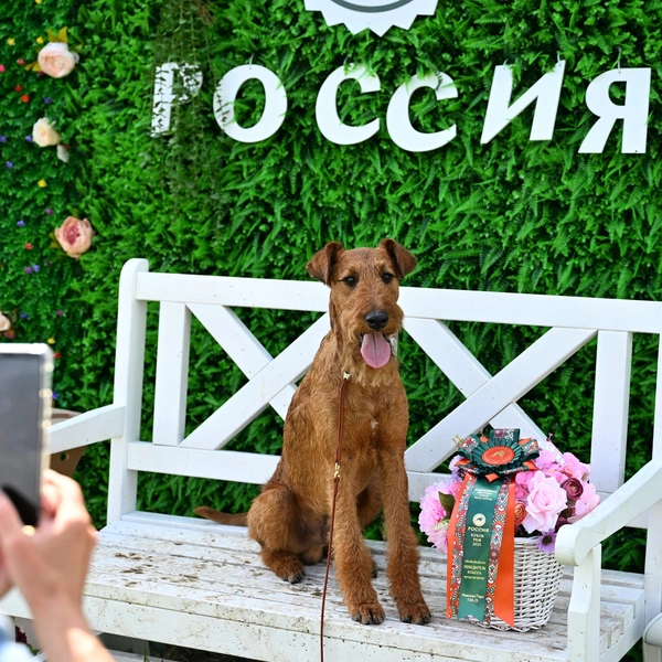 Источник: РКФ