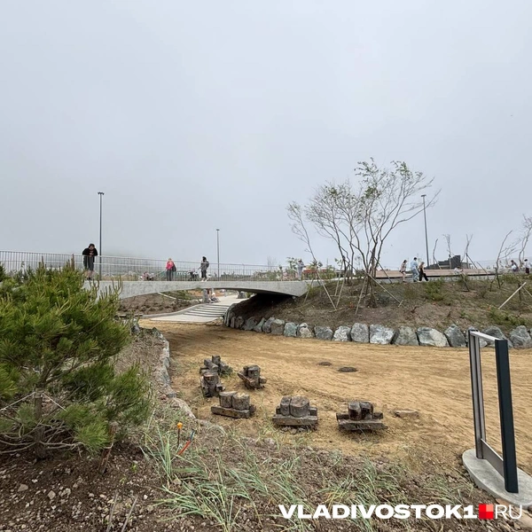 Источник: Елена Буйвол / VLADIVOSTOK1.RU