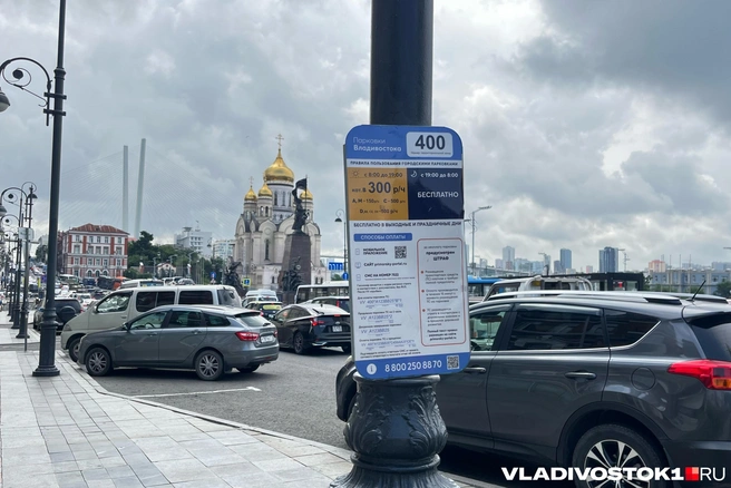 Подробностей об инициативе нет | Источник: Елена Буйвол / VLADIVOSTOK1.RU
