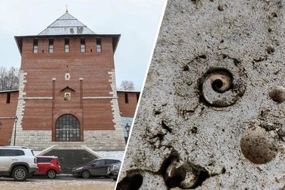 Nizhny Novgorod's Ancient Fossils: Shells and Corals on Kremlin and Metro Walls
