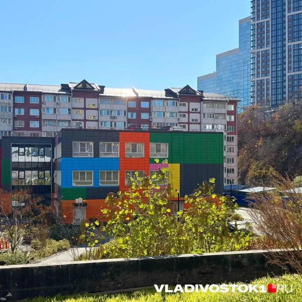 Источник: Елена Буйвол / VLADIVOSTOK1.RU