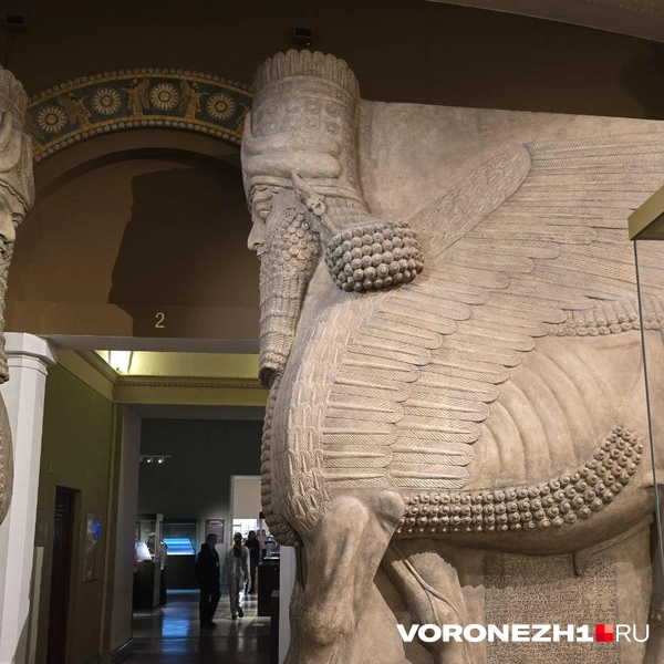 Источник: Ирина Булгакова/ Voronezh1.ru