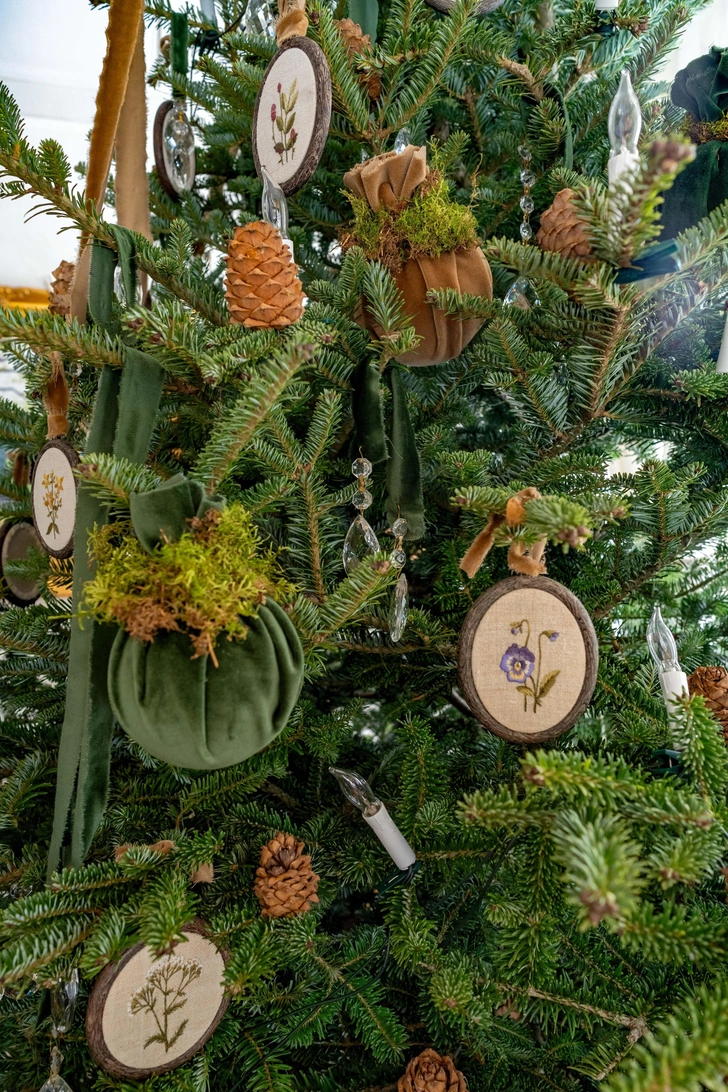 Дача Веры Федченко | Источник: Евгения Литовченко