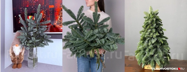 Источник: Farpost.ru