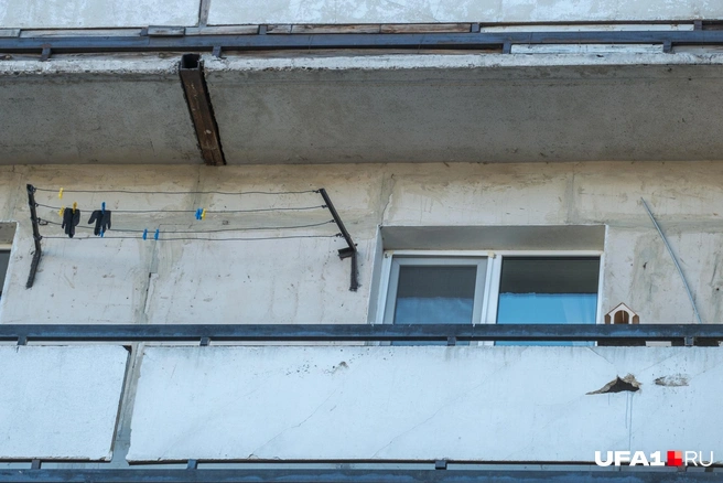 Перчатки и кормушка для птиц — ничего лишнего | Источник: Булат Салихов / UFA1.RU