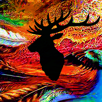 Аватарка Образовательный центр ТРОН