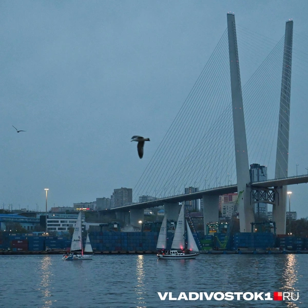 Источник: Елена Буйвол / VLADIVOSTOK1.RU