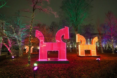 Год Красной Лошади: прогноз астролога