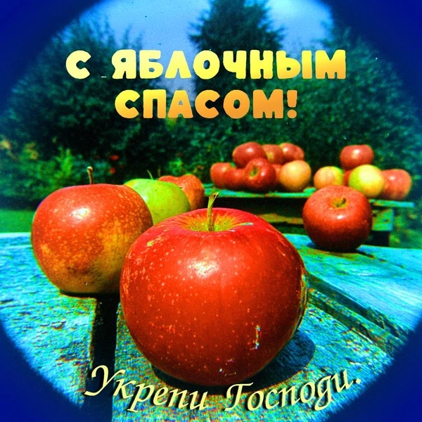 Источник: MAXIM / AI