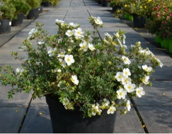 Источник: конкурсная документация