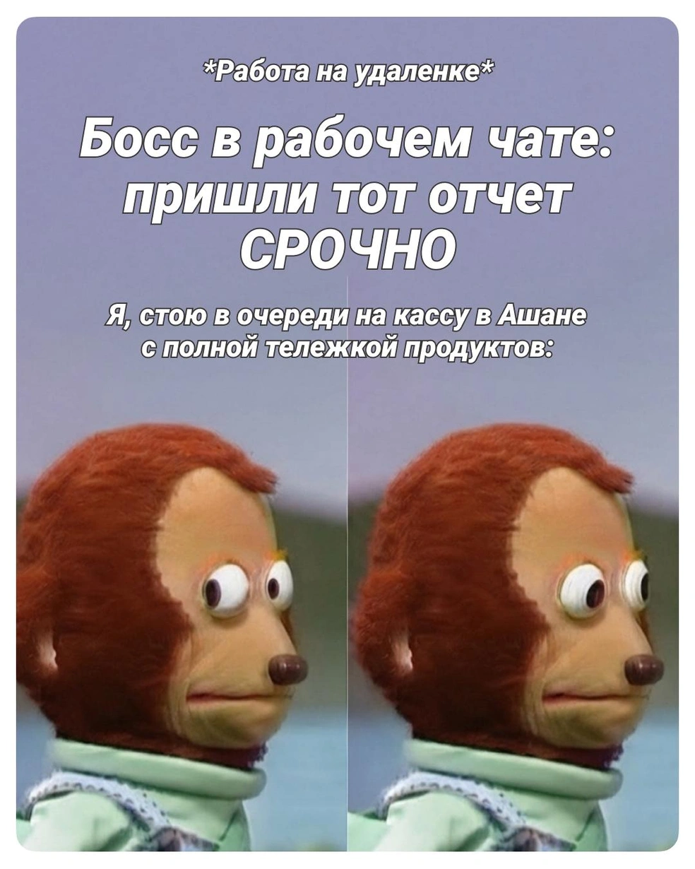 Ситуация почти безвыходная | Источник: Полина Авдошина / Городские медиа
