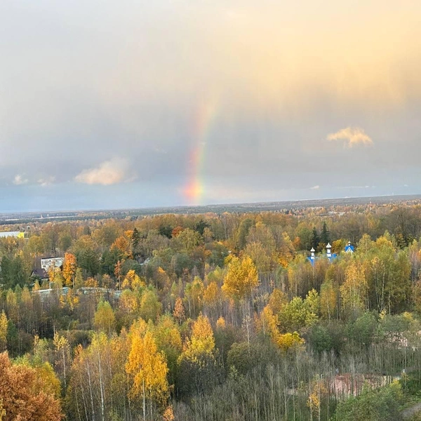 Источник: читатель «Фонтанки» Снайпер Кот