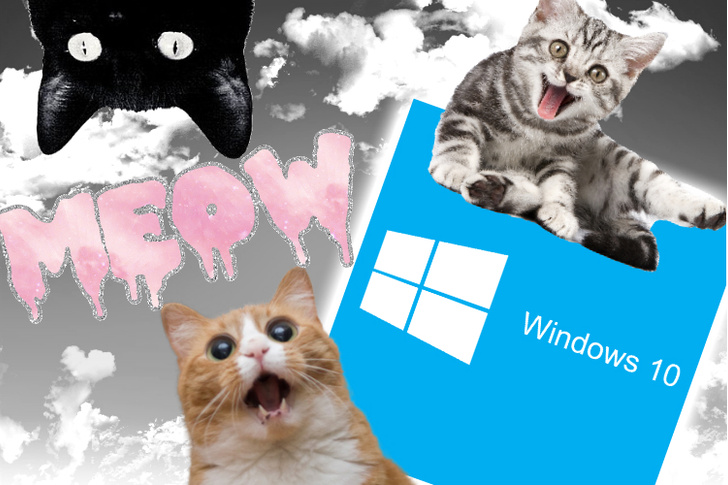 12 причин перейти на Windows 10